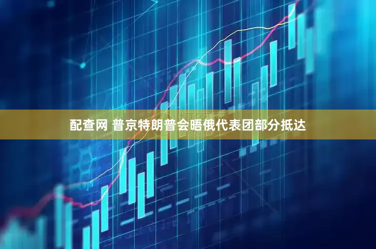 配查网 普京特朗普会晤俄代表团部分抵达