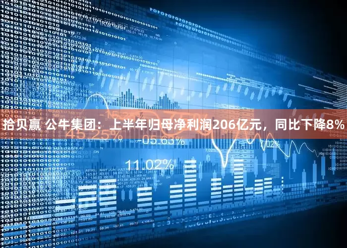 拾贝赢 公牛集团：上半年归母净利润206亿元，同比下降8%