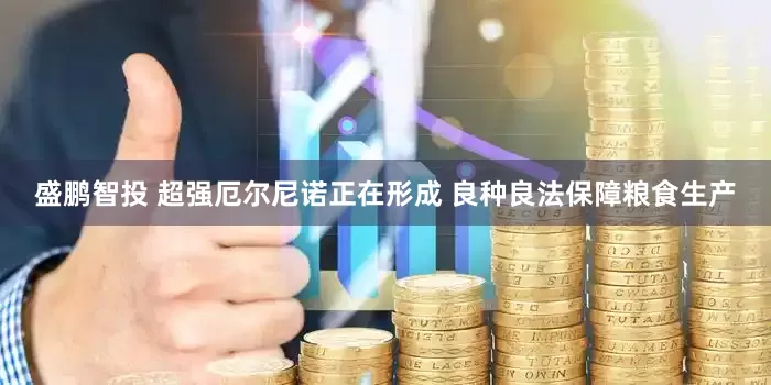 盛鹏智投 超强厄尔尼诺正在形成 良种良法保障粮食生产