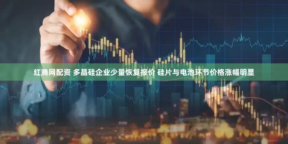红腾网配资 多晶硅企业少量恢复报价 硅片与电池环节价格涨幅明显
